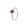 Anello Oro Bianco Diamanti Rubino Salvini Collezione Dora