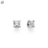 Punto Luce Oro Bianco Diamanti Donna Oro Collezione Calliope